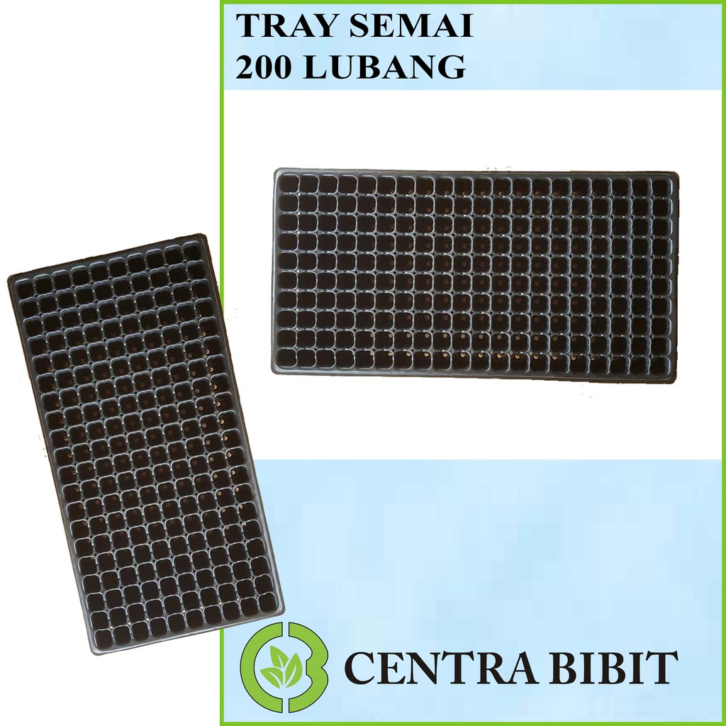 Tray Semai 200 Lubang