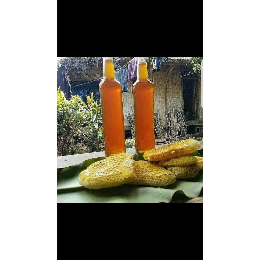 

Madu Asli Ternak Berkhasiat