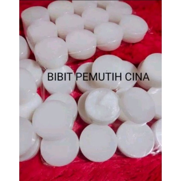bibit pemutih cina /super dosting/lebih cepat putih