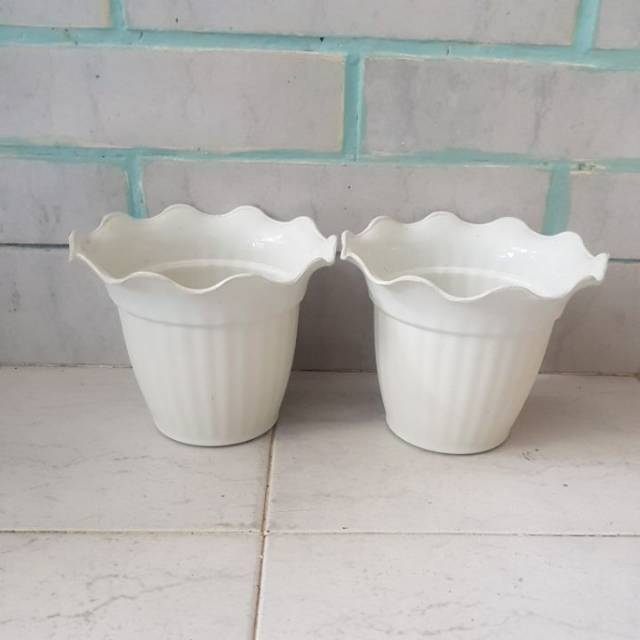  Pot  bunga putih  krem F501 16 T13 5 cm twinpan Shopee 