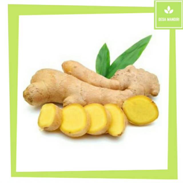 

JAHE LANGSUNG DARI PETANI | JAMU HERBAL/ DESA MANDIRI
