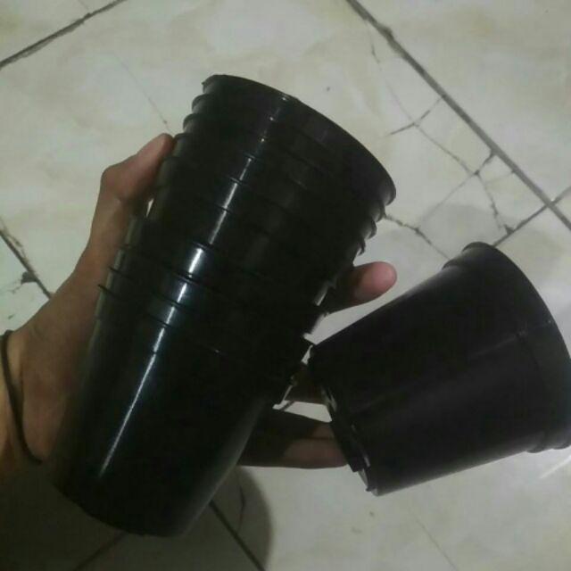 Pot  Bunga Warna Satuan