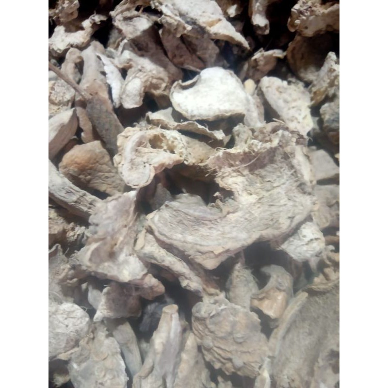 

Puyang kering SUPER 250 gram dan 500 gram