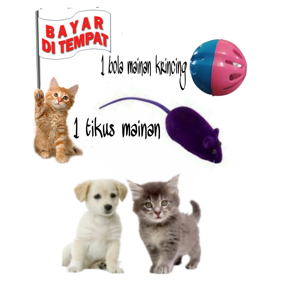 MAINAN KUCING LUCU TIKUS TIKUSAN BUNYI PLUS BOLA KRINCING ANEKA WARNA