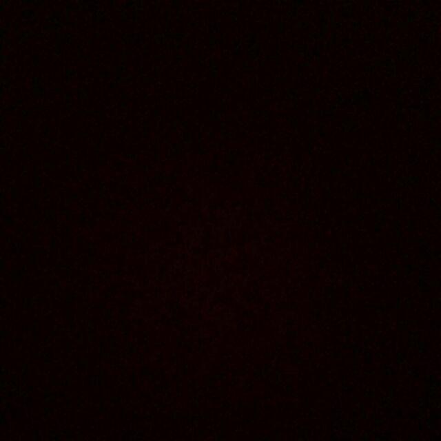 Terrarium Ringbox / Pengait Cincin