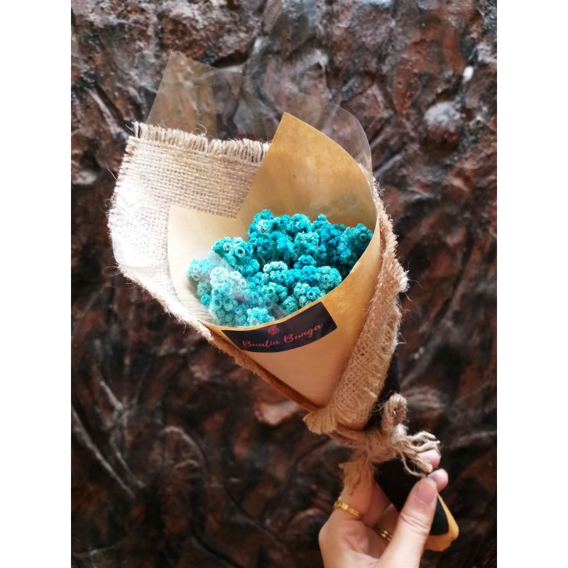 Buket Bunga Edelweis Kecil Bunga Kering Dried Flowers Bouquet Hadiah Ulangtahun Birthday Wisuda Grad
