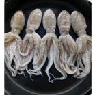 

baby gurita 200gram isi 2-4 pcs tanpa jeroan