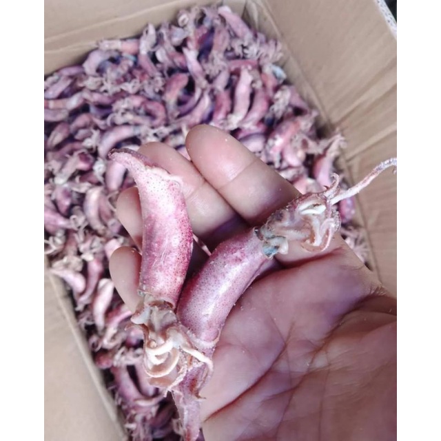 

cumi balita merah 1/4 kg