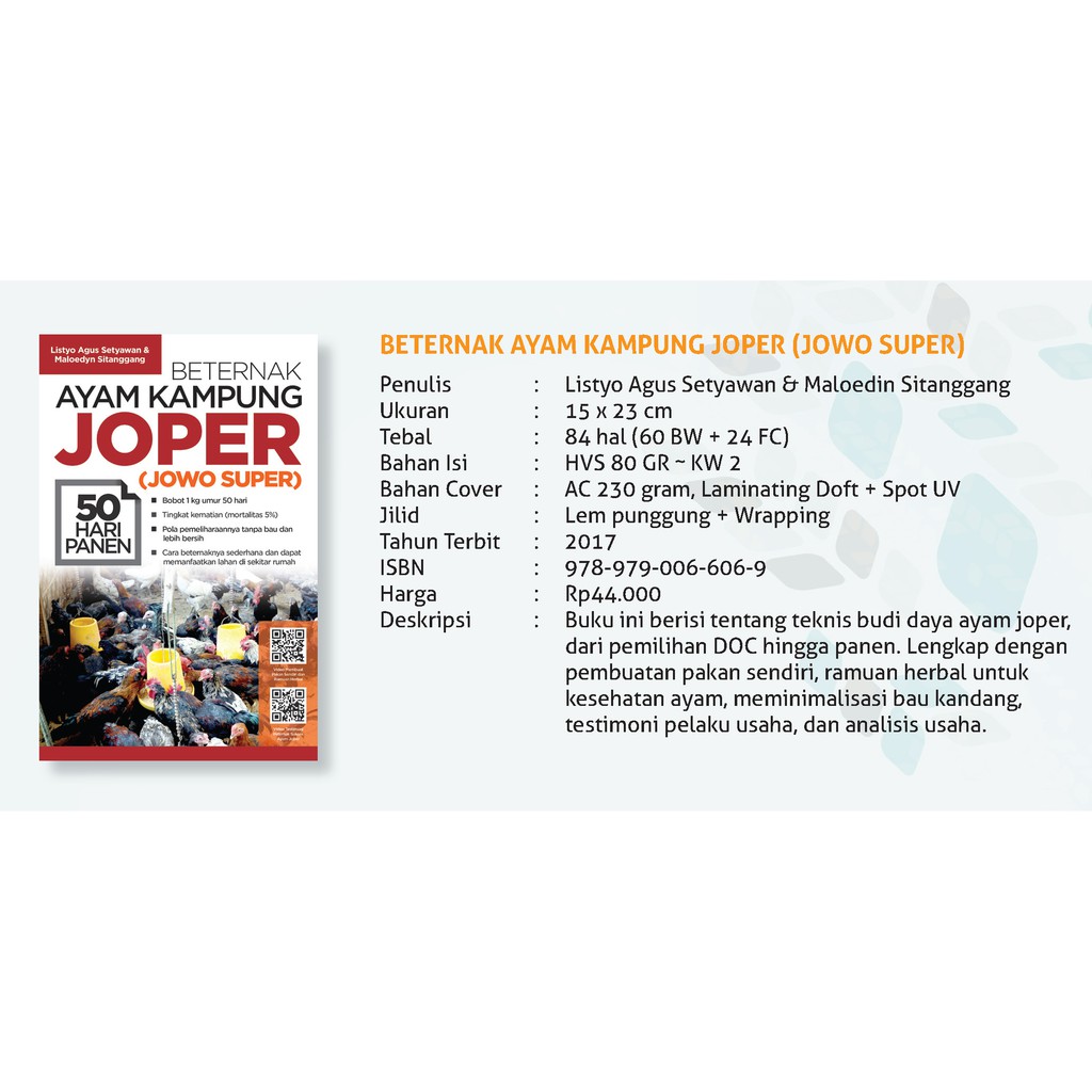 BETERNAK AYAM KAMPUNG JOPER....(JOWO SUPER) 50 HARI PANEN