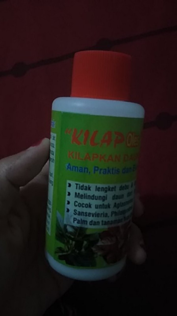 Pengkilap Daun Kilap - Leaf Shine - Kilap Daun