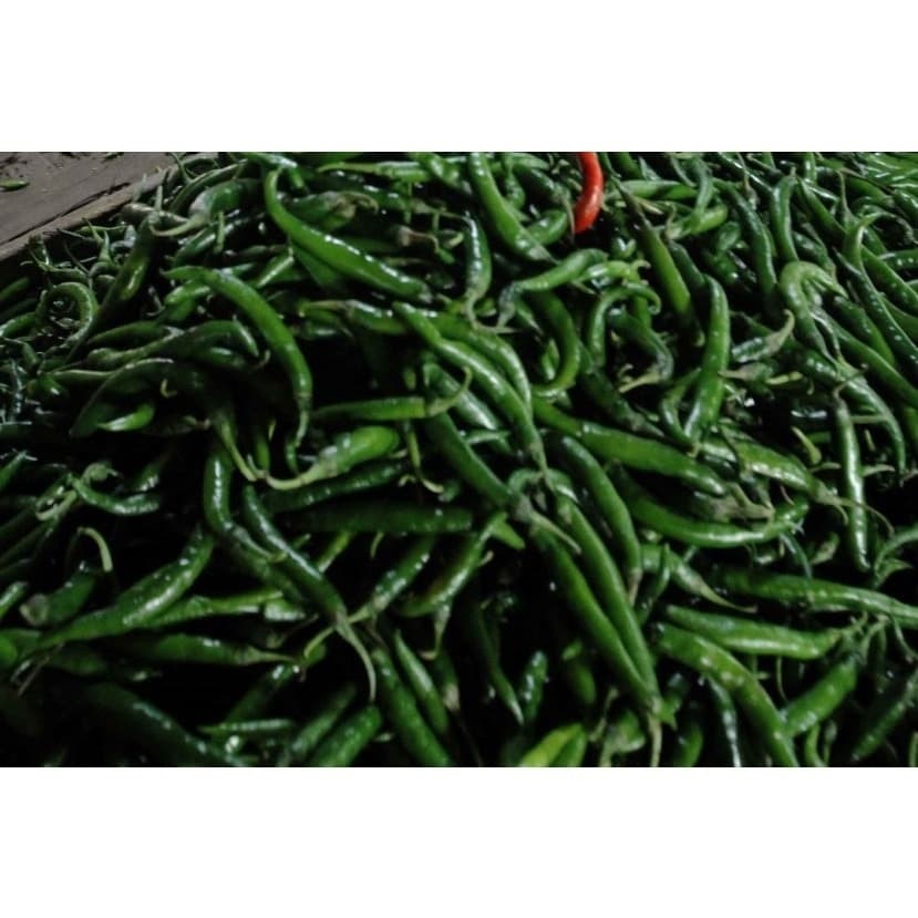 

CABE HIJAU KERITING (100gr)