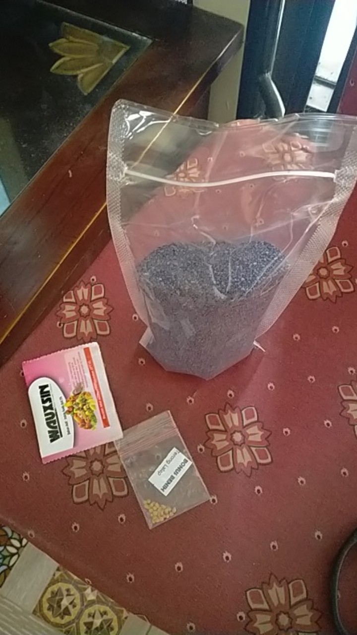 Furadan 3gr Insektisida Nematisida Pengendali Hama Tanaman Kemasan Pabrik - 500gram