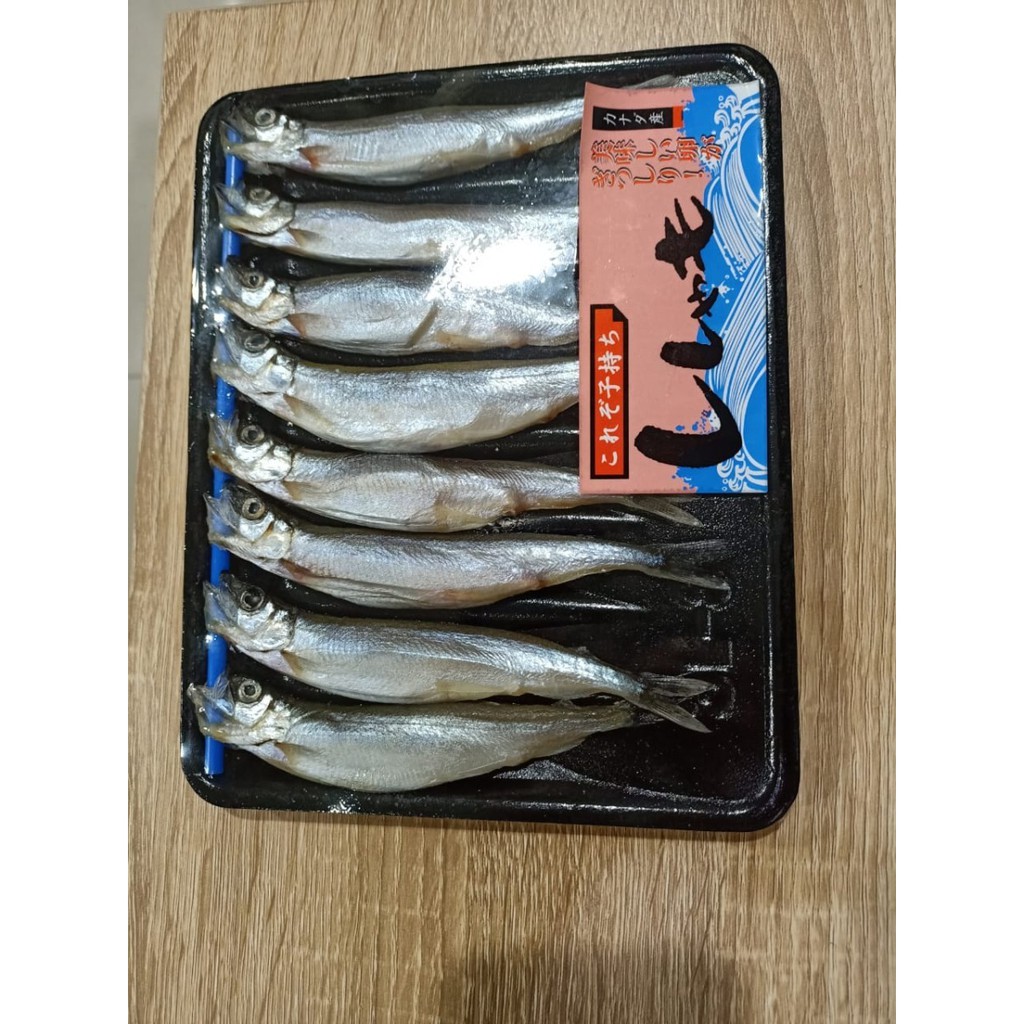 Ikan Shisamo - Shisamo Fish - Ikan Capelin - Besar DAN Telur