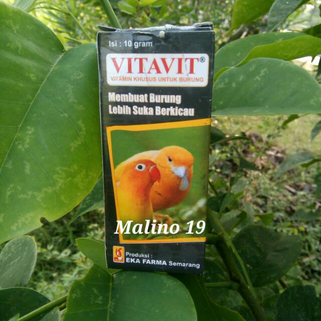 VITAVIT.Multivitamin segala jenis burung.