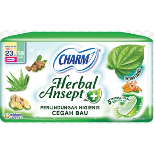 Charm Herbal Ansept Non Wing 23cm