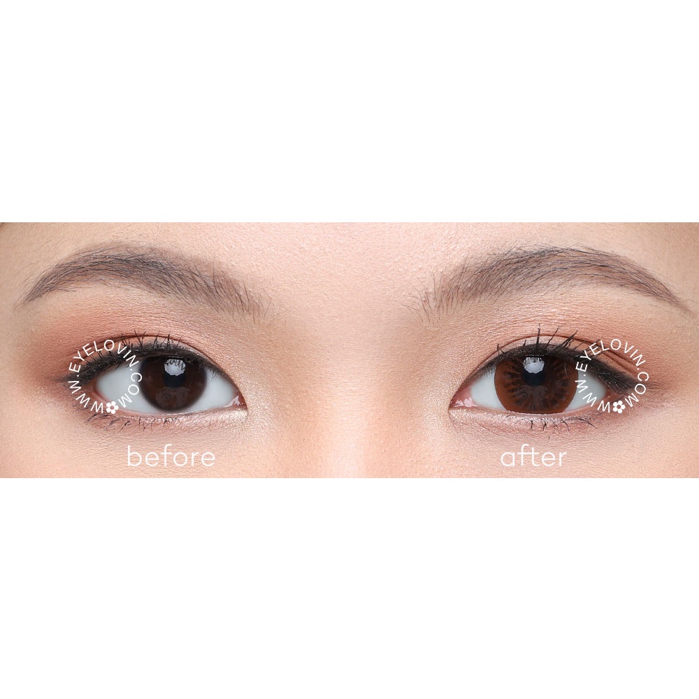 EYELOVIN Softlens RosyCon - RosyCon Pure Dolly Chocolate