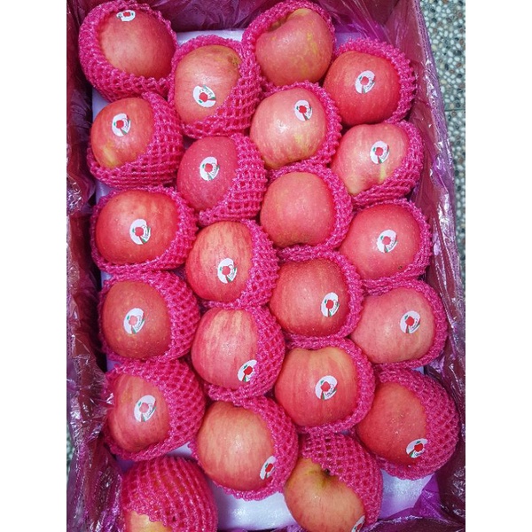 

apel fuji,.apel fuji palembang