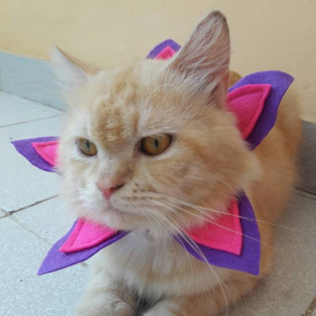 Collar hias untuk kucing &amp; anjing /Jual Baju Kucing Terlengkap &amp; Berkualitas size S-XL