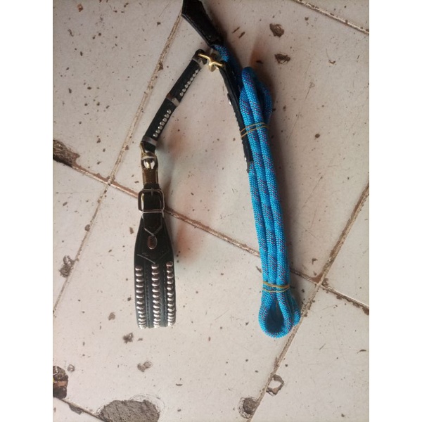 Tali berburu/Tali petik, Sambung 2, khusus untuk anjing berburu