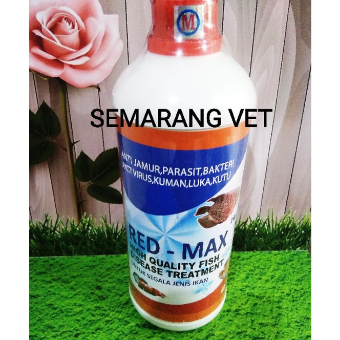 Obat Jamur Ikan Chana Obat Jamur Ikan Koi Obat Jamur Ikan Koki Obat Jamur Ikan Hias Obat Bakteri dan