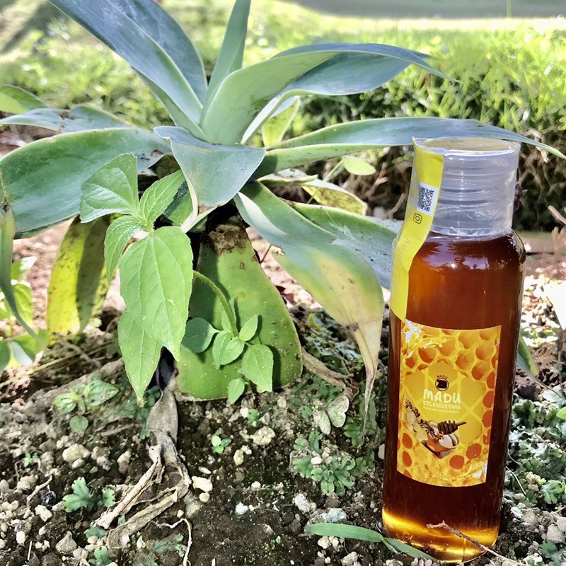 

Madu Kelengkeng 100ml by Madu ZD