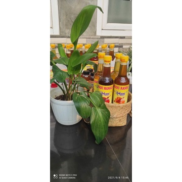 

MADU SUPER, MADU MURNI TANPA CAMPURAN 650gr