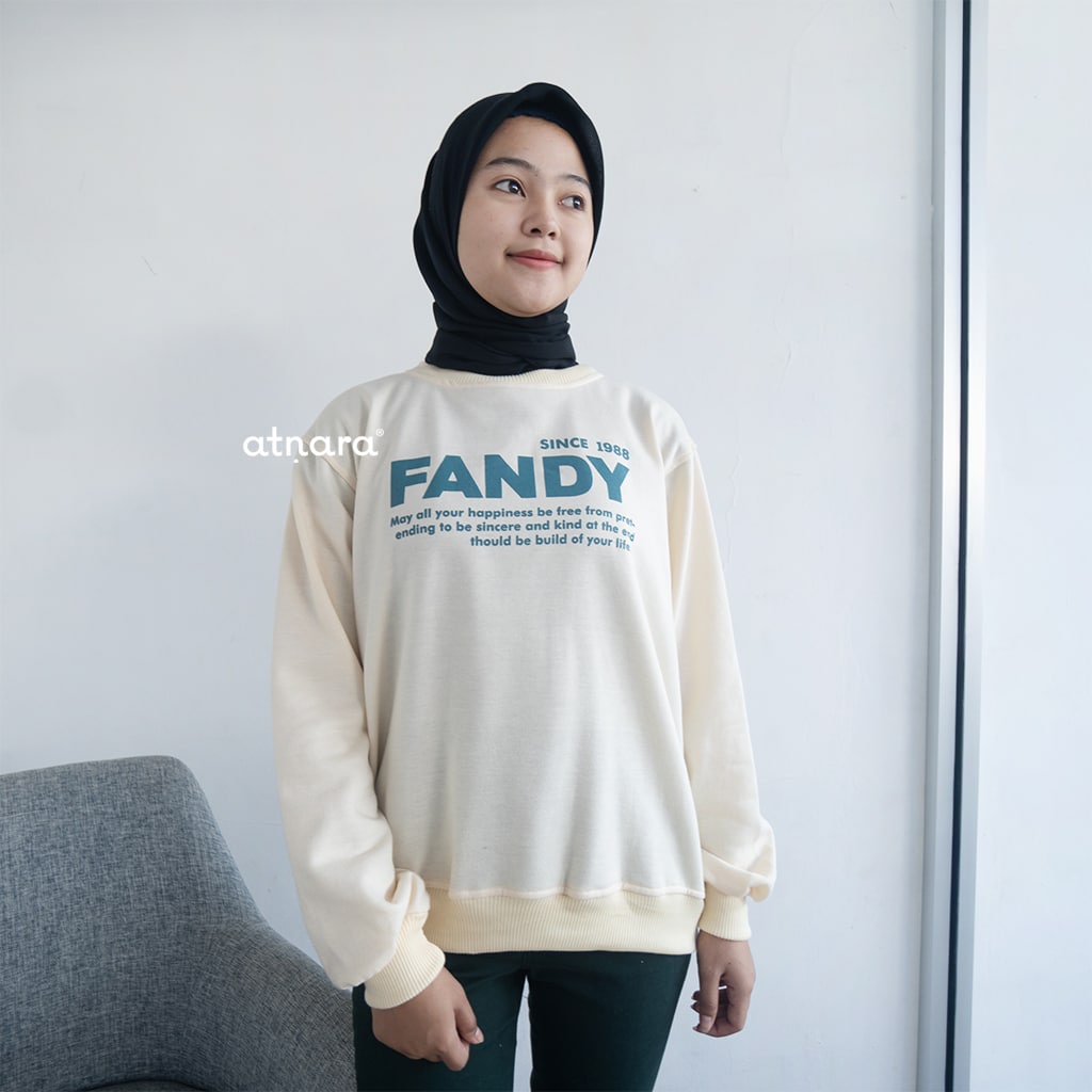 Nara Grosir - Fandy Sweater l Sweater Pria dan Wanita