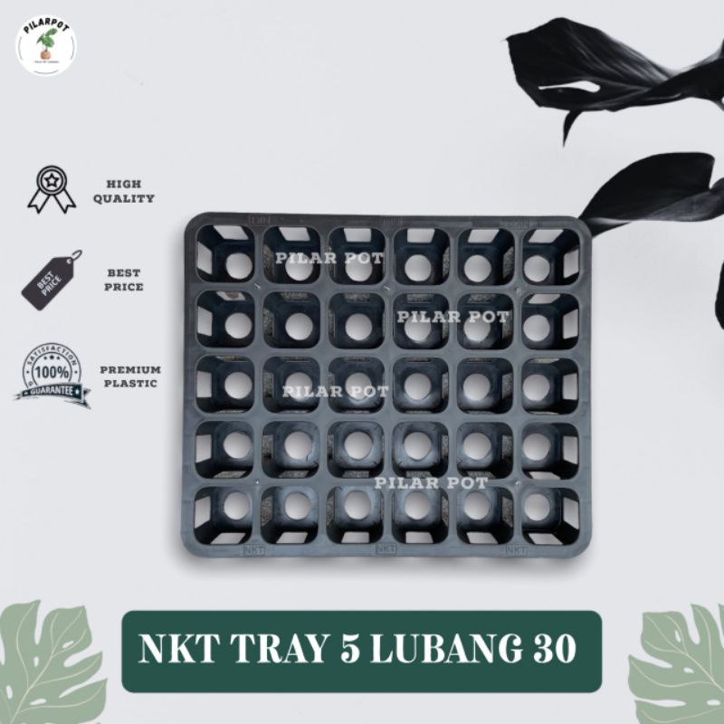 Tray pot nkt kotak 5cm lubang 30 (tanpa pot) | TRAY NKT 5CM LUBANG 30