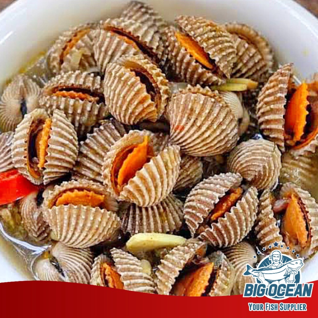 

Kerang Dara Segar Frozen @500gr