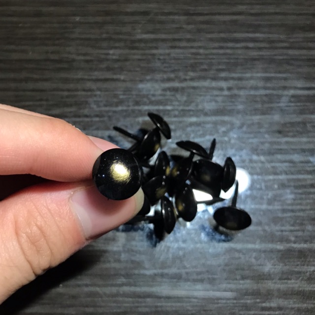 Paku Mata Kucing Kecil/Paku Mata Kucing Sedang/ Paku Mata Kucing Besar/ Paku Antik/Paku Pines