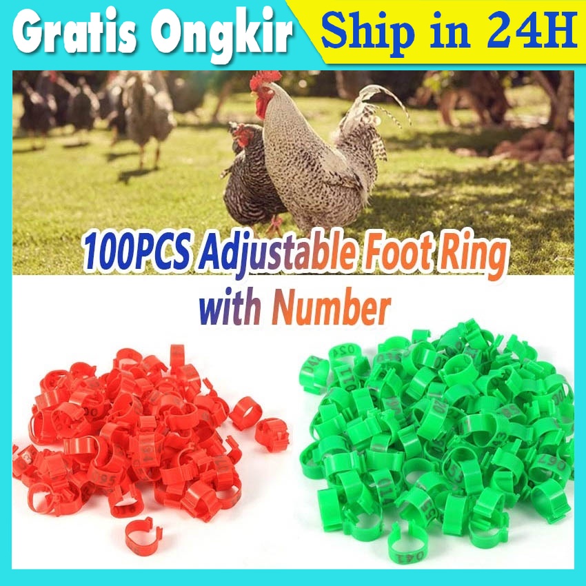 Nomor 001 100 Cincin Ring Gelang Kaki Ayam Bebek Klip Rp79 000