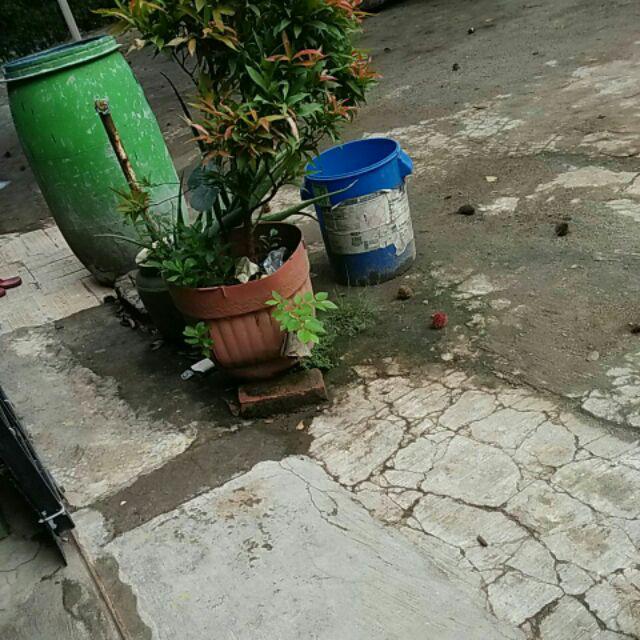 Maura Couple - Sania Ruffle Batik Couple Ori Ndoro Jowi Dnt Garansi Termurah Shopee - Shopashop Solo