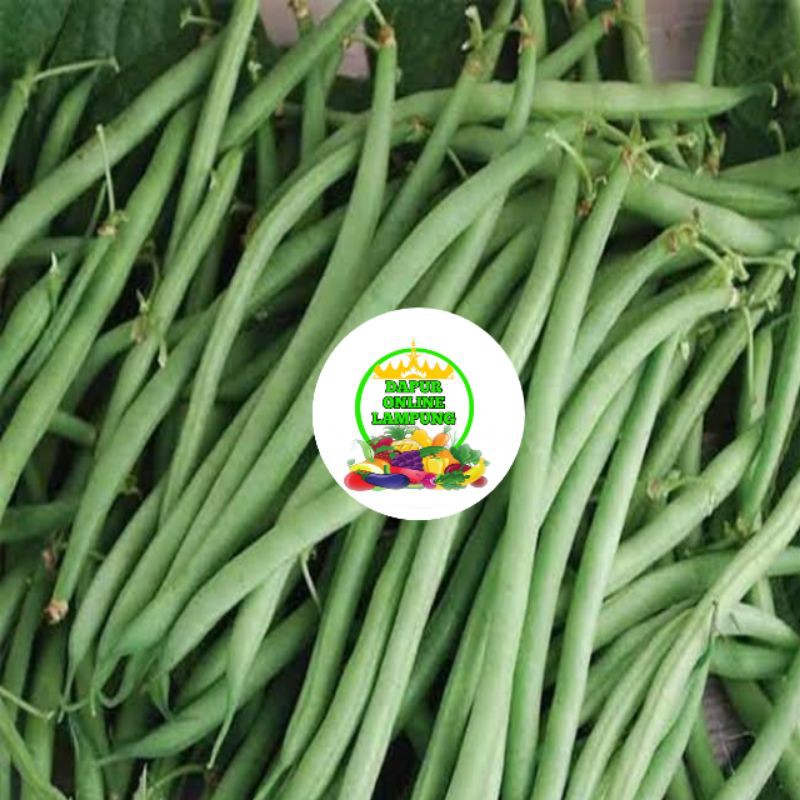 

SAYUR BUNCIS BUNCIS/KG SAYUR SAYURAN Bandar Lampung