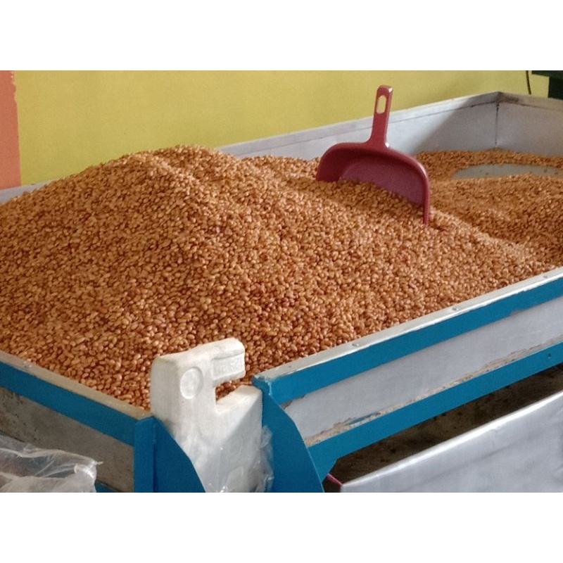 

kacang kedelai goreng 250g 15000