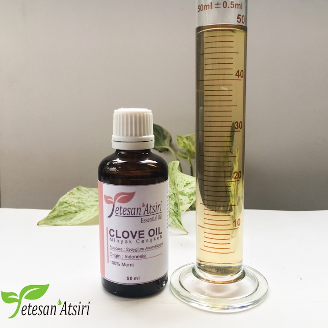50ml minyak atsiri cengkeh murni asli penyulingan 100%clove pure essential oil diffuser aromatherapy