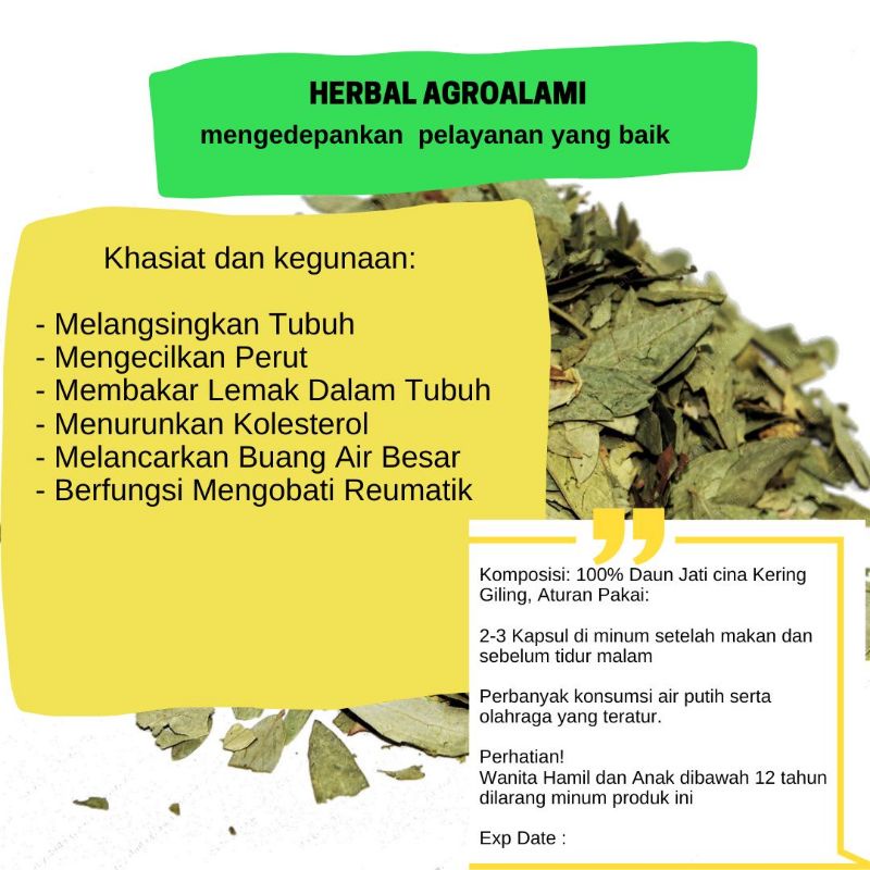 Kapsul Daun jati cina pelangsing herbal suplemen kesehatan kapsul perut buncit langsing 50 kapsul, Kapsul Herbal JATI CINA 600mg Pelangsing Metabolisme Kapsul Herbal DAUN JATI CINA (Cassia Angustifolia)