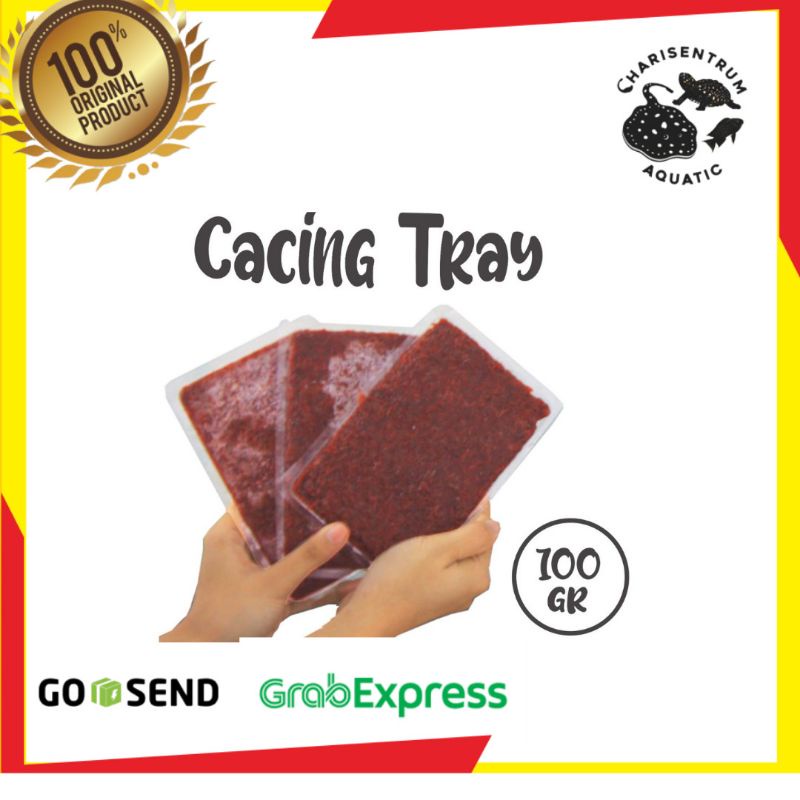 

CACING TRAY 100 GRM ECER MAKAN IKAN HIAS JOGJA BERKUALITAS DAN MURAH