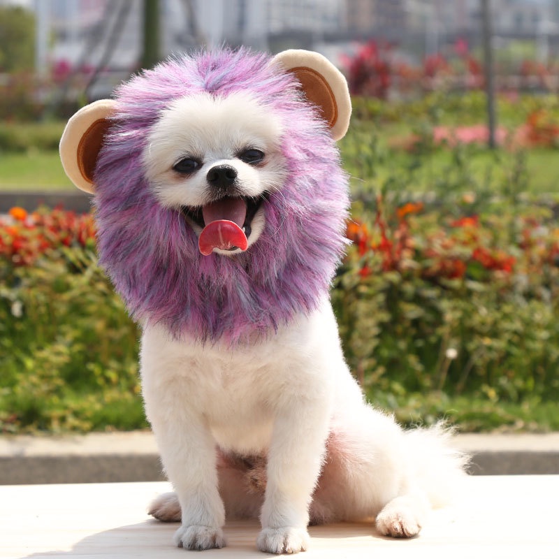 Topi Wig Rambut Singa Untuk Anjing Dan Kucing Peliharaan