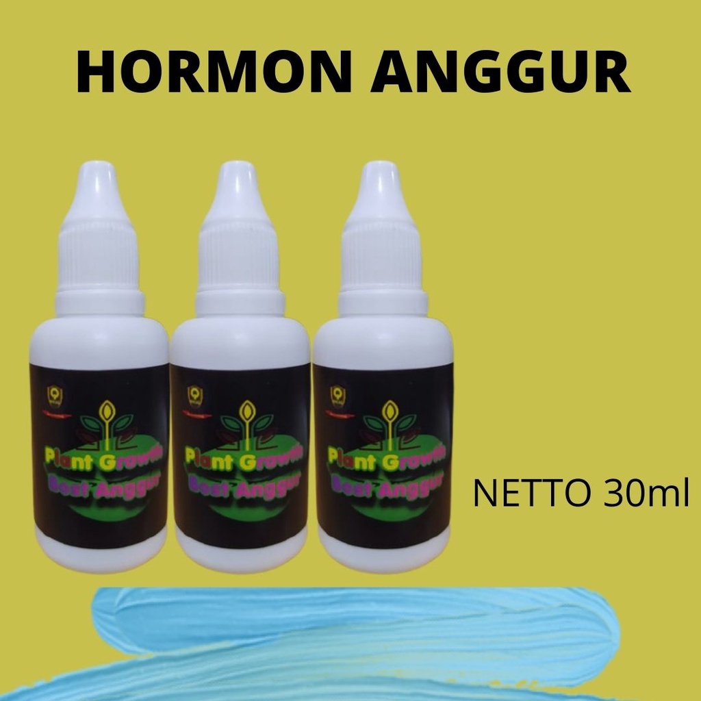 Hormon pemicu buah bunga anggur, Hormon Perangsang anggur agar cepat berbuah