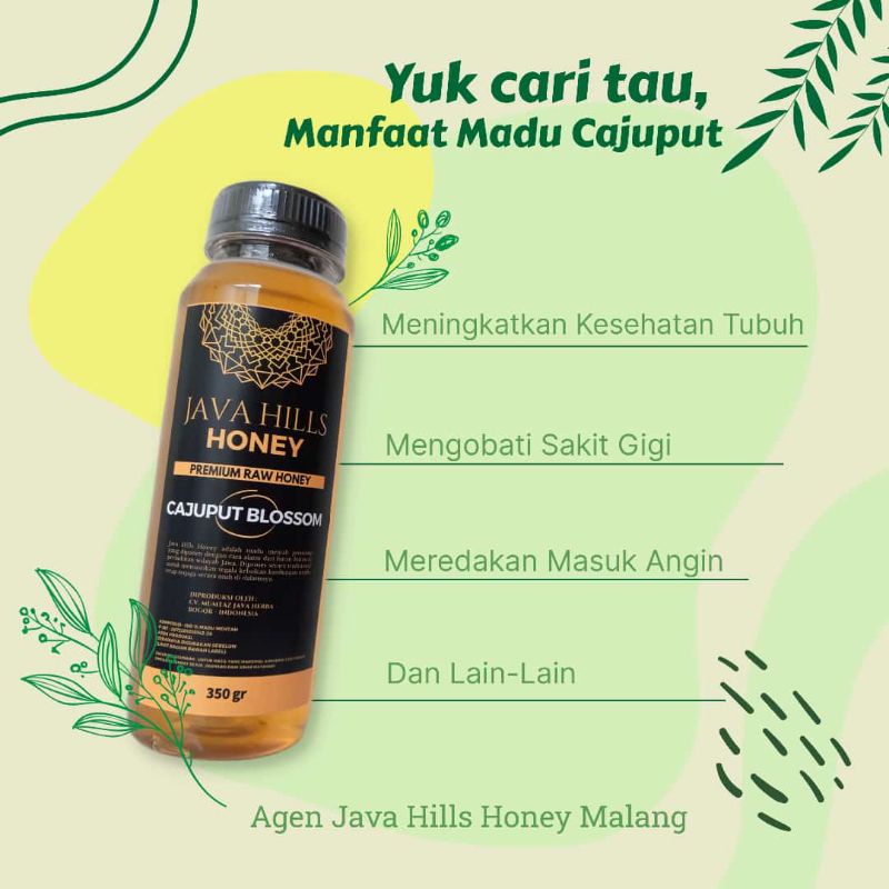 

Cajuput Blossom|Madu Nektar Kayu putih|Cajuput Honey| Cajuput java hills 350gr bs COD