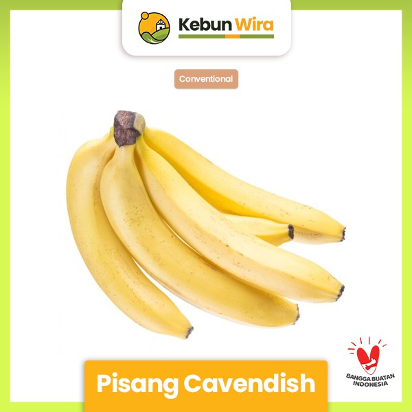 

Pisang Banana Cavendish