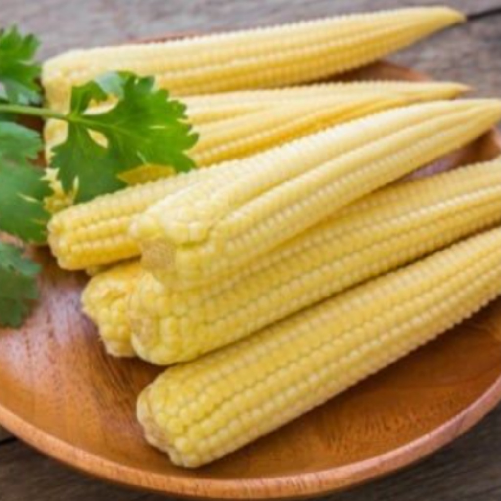 

Jagung Muda Segar 250 gr Putren Jagung Muda Untuk Tumisan