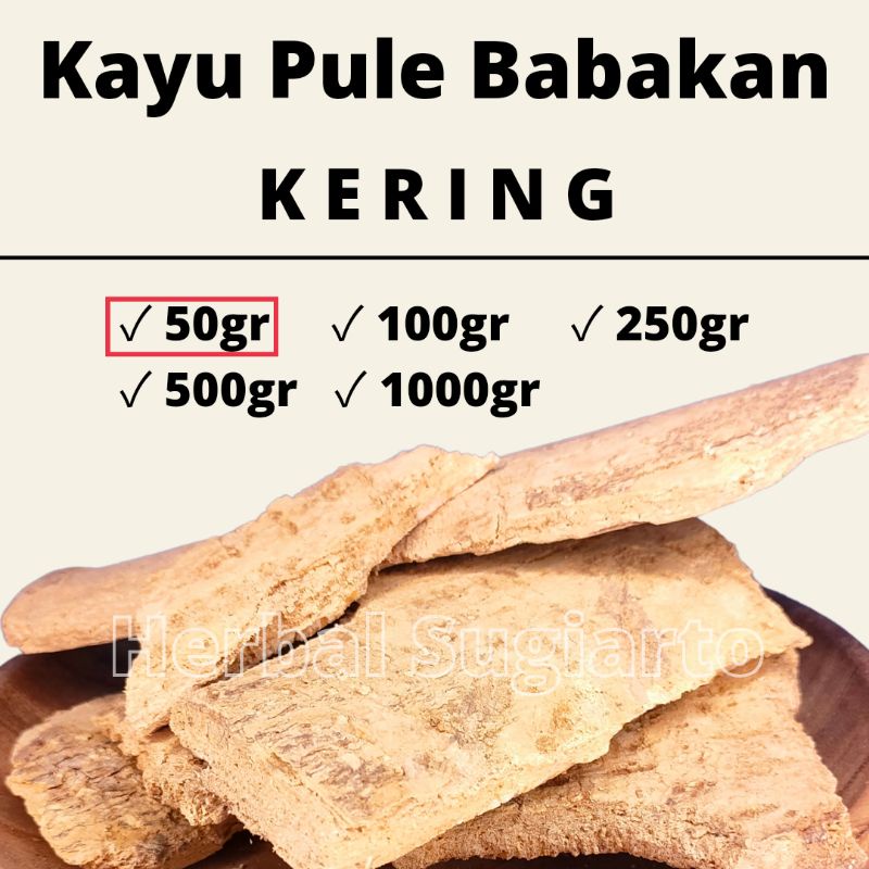 

GROSIR Kayu Pule / Babakan Pule 1kg 1000gr 500gr 250gr 100gr 50gr Kualitas BAGUS 50gr