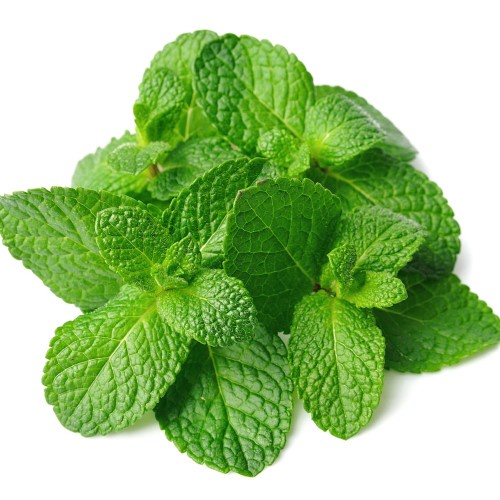 

Daun Mint Segar Fresh Untuk Minuman 25/50 GR