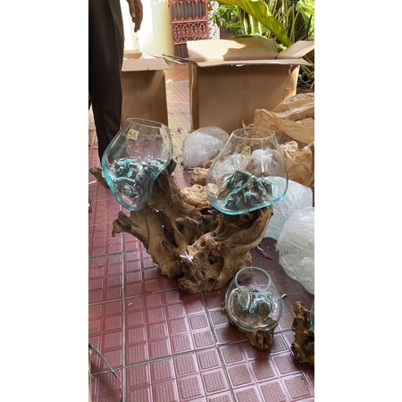 Aquarium akar kayu ukuran jumbo / aquarium ikan cupang/ ikan gapi/ cabang 2