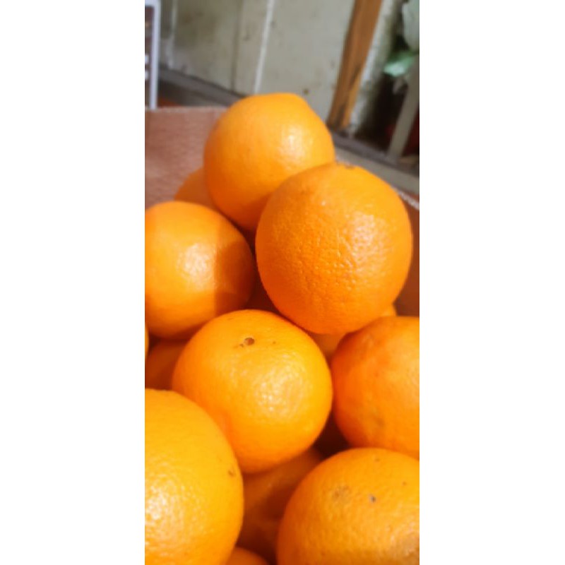 

jeruk sankist import 1kg