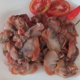 

Daging Kerang Dara 1 pack 500 gram Frozen