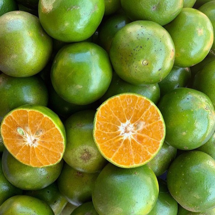 

Jeruk Peras 500gr
