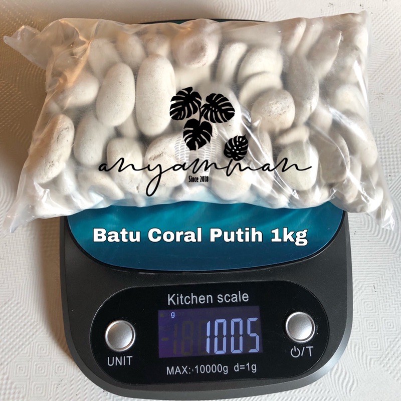 Batu Coral Putih/Batu Hias Aquarium/Batu Koral Kerikil 1kg