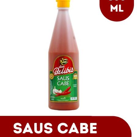 

EXCLUSIVE!SAOS CABE (650ml)|SQ6